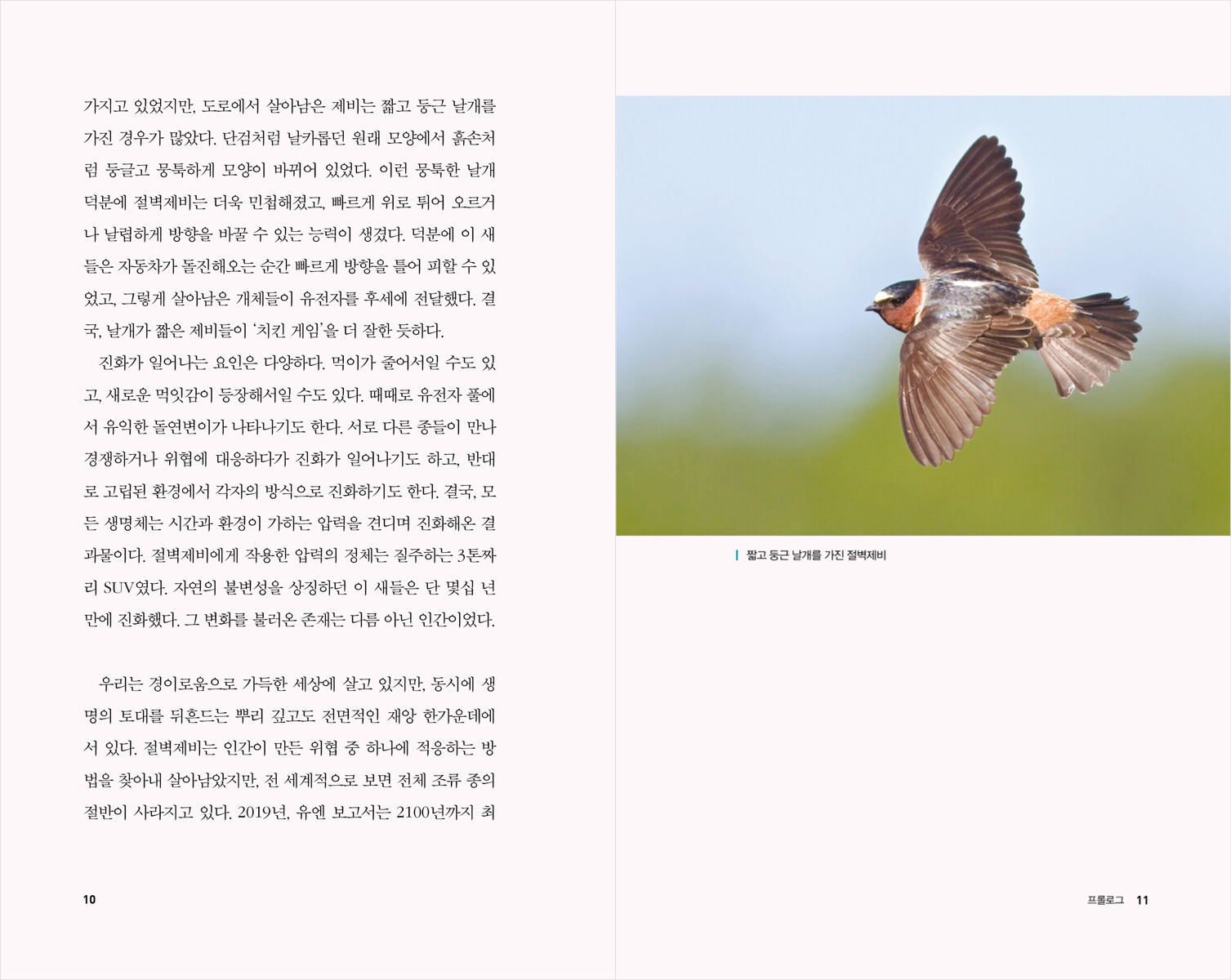미리보기 4